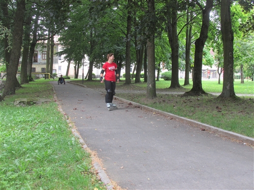Obrázek v galerii
